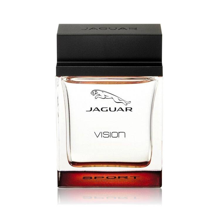 Jaguar Vision Sport